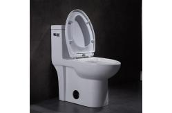China 1 One Piece Elongated Toilet 15 Height Ceramic Wc Syphon Seamless Porcelain supplier