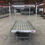 Custom Size Greenhouse Grow Table Hydroponic Ebb Flood Rolling Bench VerticSeedbed