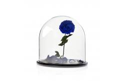 China Borosilicate Large Glass Dome With Base , 20cm Height Glass Bell Cloche supplier