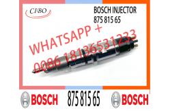 China Common Rail Diesel Fuel Injector 0445120035 0445120272 3965720 3973059 5263305 87581565 supplier