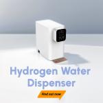 High Purity Hydrogen Water Machine With DuPont Proton Membrane WEIZI for sale