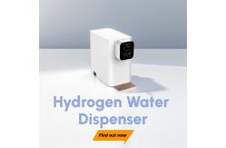 China High Purity Hydrogen Water Machine With DuPont Proton Membrane WEIZI supplier