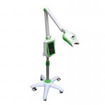 Dental Salon Lamp Goose Pipe Teeth Whitening Machine CE for sale