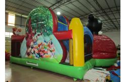 China Classic inflatable mickey jumping house cheap price inflatable fun city supplier