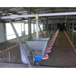 1.5L 3L Plastic Automatic Water Feeder For Chickens for sale