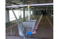 China 1.5L 3L Plastic Automatic Water Feeder For Chickens supplier
