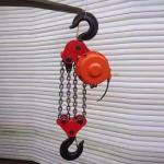Customized Simple Electric Lifting Hoist 2 Chain Falls For Tank Construction for sale