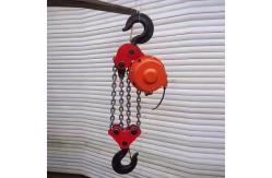 China Customized Simple Electric Lifting Hoist 2 Chain Falls For Tank Construction supplier