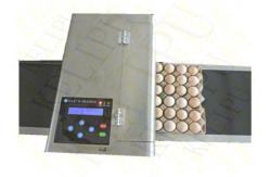 China Chip Control Egg Printing Machine Easy Operation With Maintenance - Free Design supplier