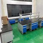 Integrated Wood Structure for Chemistry Lab Furniture with Easy Installation for sale