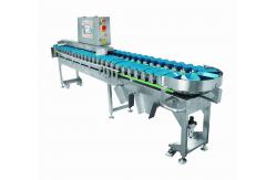 China Smart Small Size Tray Fruit Sorting Machine One Piece Weighing Machine supplier