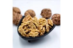 China Walnut wholesale kernel walnut Factory price Food supplements walnuts peptide supplier