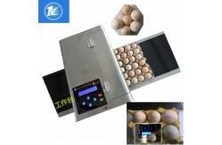 China High Precision Expiration Date And Customizable Style For Egg Printing Machine supplier