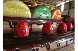 China Inflatable Cake Toddler Bounce House , Inflatable Jumping Castle Quadruple Stitching supplier