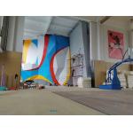 Professional Speed Climbing Holds Resin Rock Climbing Holds For Adults for sale