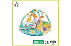 China 100% Polyester Washable Portable Baby Activity Play Gym Mat Infant Toddlers supplier