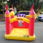 Modern Simple Affordable Commercial Inflatable Water Slide & Children's Bounce House for sale
