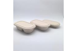 China Greaseproof Oval Biodegradable Bagasse Tableware Bento Box For Salad supplier