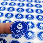 Cheap Custom Vinyl Stickers Printing – Affordable Waterproof Die Cut Labels Online