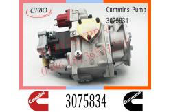 China Diesel Injection For Cummins KTA50 PT Fuel Pump 3075834 3059657 3060947 supplier