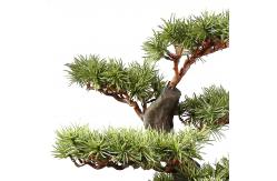 China Height 60cm Welcoming Pine Green Artificial Plant Desk Decor supplier