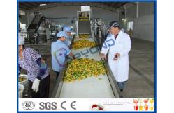 China Complete Turn key Project Mango Fruit Juice Processing Line High Engery Saving supplier