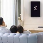 Tik Tok Browse Authentic Oil Paintings Speaker 5.0 Bluetooth WiFi for sale