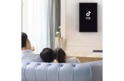 China Tik Tok Browse Authentic Oil Paintings Speaker 5.0 Bluetooth WiFi supplier