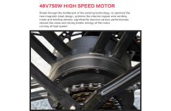 China 40Km/H Lithium Battery Magnesium Alloy Variable Speed Lithium Battery Electric Bicycle supplier
