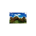 AUO H018IN03 LCD Screen Display Panel RGB 128×160 116PPI TN Transmissive CPU for sale