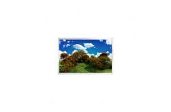China AUO H018IN03 LCD Screen Display Panel RGB 128×160 116PPI TN Transmissive CPU supplier