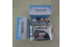 China One Step 96pcs Hepatitis B Rapid Test Kit Medical Diagnostic supplier