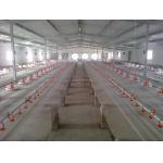 Automatic feeding pan system poultry feed pan cheap modern style