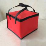Customize Non Woven Insulated Reusable Lunch Containers Fresh Ice Cooler Bags