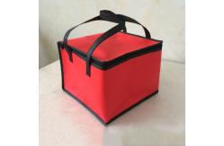 China Customize Non Woven Insulated Reusable Lunch Containers Fresh Ice Cooler Bags supplier