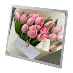 30 Pin 19 Inch Small Lcd Panel Advertising Display Sunlight Readable Lcd Module for sale
