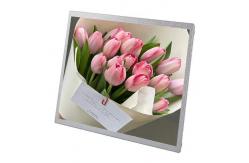 China 30 Pin 19 Inch Small Lcd Panel Advertising Display Sunlight Readable Lcd Module supplier