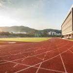 Stadium Sandwich System Running Track EPDM Rubber Flooring Surface