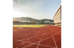 China Stadium Sandwich System Running Track EPDM Rubber Flooring Surface supplier