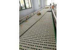 China                  Slat Chain Conveyor for Conveyor System              supplier