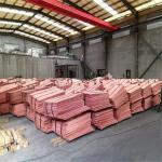 Copper Cathode T1 T2 T3 Grade C110 Copper Plate ASTM 4mm 5mm Thickness Red 99.99% for sale