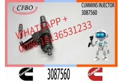 China 3087733 Diesel Fuel Injector N14 Common Rail Injector 3087560 3411752 3411765 supplier