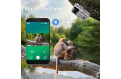 China 940nm LEDs Wifi Trail Camera APP Remote Control No Glow Invisible supplier