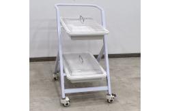 China Endoscopy Cart With 2 Trays Mobile Endoscope Trolley For Clinics Hospitals supplier