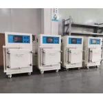 Electric Blast Oven Hot Air Specification Lab Drying Equipment Temperature Humidity Test Chamber