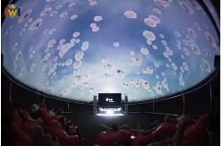 China VR Dome Cinema 4D 9D Flying Theater with Motion Seats supplier