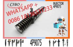 China Excavator Diesel Engine Fuel Injector Nozzle 0R3051 4P-9075 4P9075 supplier
