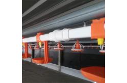 China 22mm Square Pipe Poultry Farm Chicken Nipple Drinker System supplier