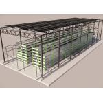 Eco Friendly Outdoor Mushroom Greenhouse With Integrated Photovoltaic Roof System for sale