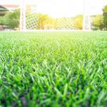 2*25m PP Natural Artificial Grass 12000 Dtex Multi Sports Turf